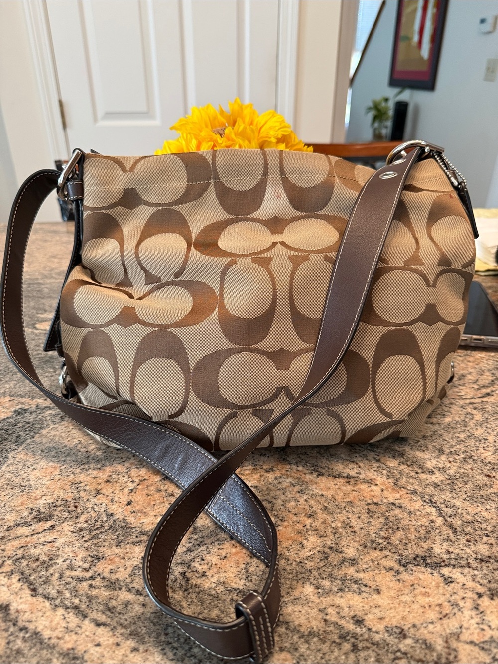 Coach Khaki and Dark Brown Signature Shoulder Bag